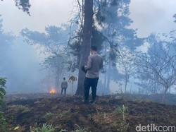 Kebakaran Hutan Gunung Merbabu di Semarang Padam, Petugas Tetap Disiagakan