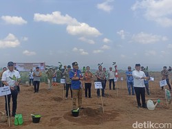 Pj Gubernur Sulsel Tanam Pohon Pisang di Sinjai, Siapkan Lahan 20 Hektare