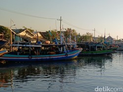 Produksi Ikan Tangkap di Kabupaten Pasuruan Diyakini Surplus
