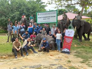 Jurus SKK Migas & Pertamina Hulu Rokan Jaga Populasi Gajah Sumatera Jurus SKK Migas & Pertamina Hulu Rokan Jaga Populasi Gajah Sumatera