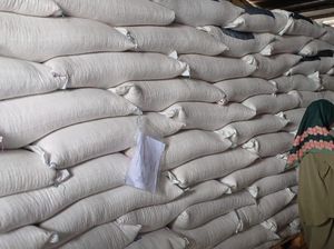 Sistem Resi Gudang di Sumut Mati Suri, Padahal Bisa Bikin Petani Cuan Sistem Resi Gudang di Sumut Mati Suri, Padahal Bisa Bikin Petani Cuan