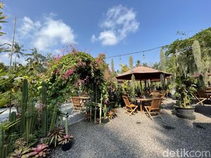 Sensasi Menyeruput Kopi di Tengah Kebun di Desa Panglipuran Bali