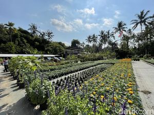 Disuruh Bayar Royalti, PHRI NTB Minta Kafe-Resto Setop Putar Musik Disuruh Bayar Royalti, PHRI NTB Minta Kafe-Resto Setop Putar Musik