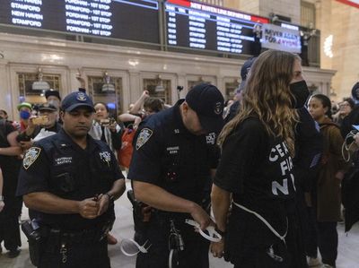 Bikin Lumpuh Stasiun New York, 200 Demonstran Pro-Palestina Ditangkap
