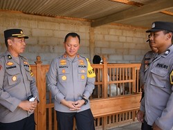 Kisah Bhabinkamtibmas Polres Jepara, Nyambi Ternak Kambing Raup Cuan Jutaan