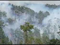 Seluruh Jalur Pendakian Ditutup Imbas Kebakaran Gunung Merbabu