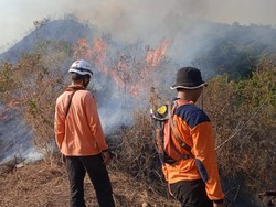 Pegunungan Anjasmoro di Jombang Terbakar, Api dari Arah Malang