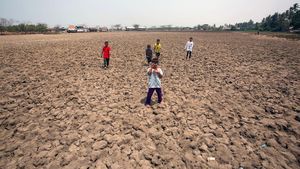 Kekeringan, Sawah di Tangerang Jadi Arena Bermain Anak