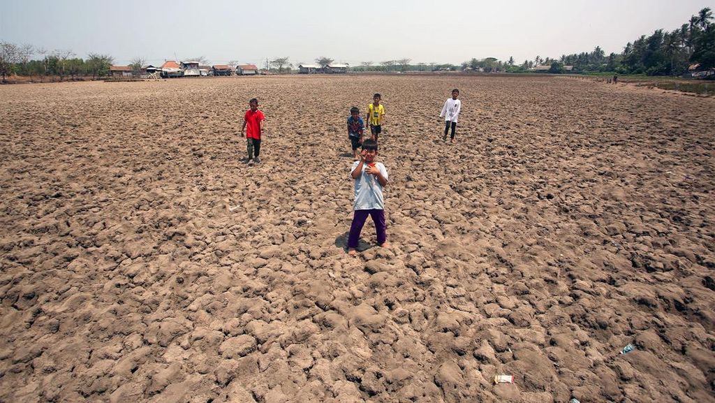 Kekeringan, Sawah di Tangerang Jadi Arena Bermain Anak Kekeringan, Sawah di Tangerang Jadi Arena Bermain Anak