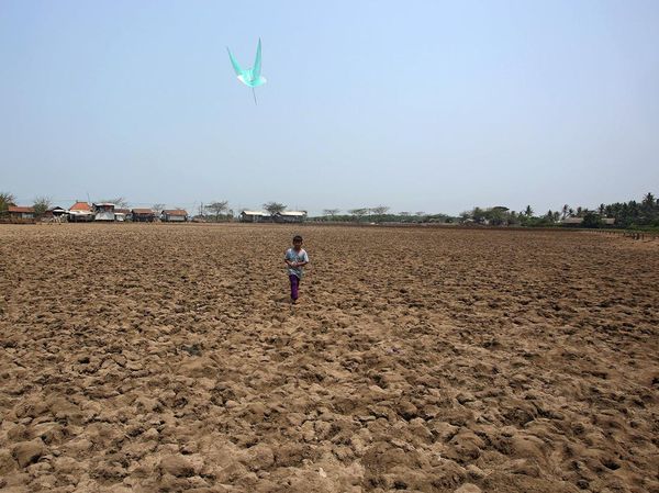Sekering Ini Sawah di Tangerang