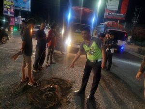 Relawan Pengatur Lalin di Jambi Tewas Terkena Truk Batu Bara Relawan Pengatur Lalin di Jambi Tewas Terkena Truk Batu Bara