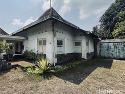 Berkat Sego Abang Jadi Jago Bahasa