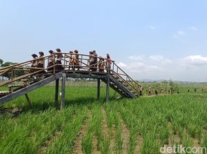 Kawista Emji, Wisata Edukasi Sekaligus Spot Nyenja di Mernek Cilacap Kawista Emji, Wisata Edukasi Sekaligus Spot Nyenja di Mernek Cilacap