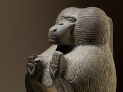 Apakah Babon Sempat Hidup di Mesir Kuno? Begini Studinya