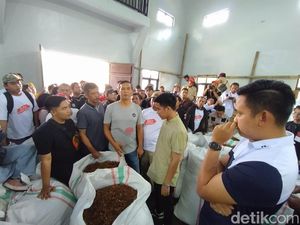 Petani Tembakau di Temanggung Ngeluh Pupuk Mahal, Gibran Janji Cari Solusi