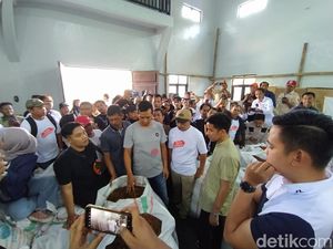 Gibran Blusukan di Temanggung, Petani Tembakau Sambat soal Pupuk