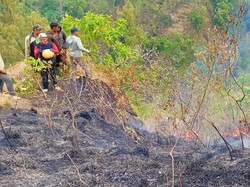 80 Hektare Hutan Lindung di Lereng Gunung Abang Terbakar