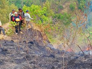 80 Hektare Hutan Lindung di Lereng Gunung Abang Terbakar 80 Hektare Hutan Lindung di Lereng Gunung Abang Terbakar