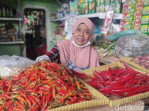 Siasat Pedagang Sidoarjo Hadapi Harga Cabai Terus Melonjak Siasat Pedagang Sidoarjo Hadapi Harga Cabai Terus Melonjak