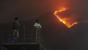 Penampakan Kebakaran Gunung Merbabu, Pendakian Ditutup