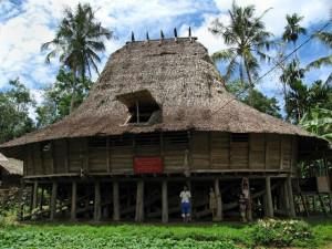 Rahasia di Balik Rumah Adat Nias yang Tahan Gempa Rahasia di Balik Rumah Adat Nias yang Tahan Gempa