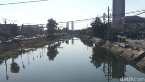 Penampakan Sungai Kalisari Damen  Bersih Dari Eceng Gondok