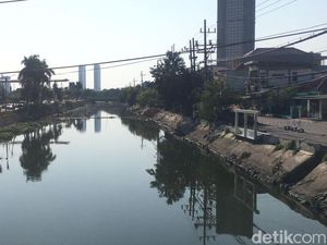 Penampakan Sungai Kalisari Damen Bersih Dari Eceng Gondok Penampakan Sungai Kalisari Damen Bersih Dari Eceng Gondok