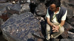 Amazon Kering, Batu Berukiran Wajah Kuno Bermunculan