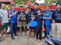 Meresahkan, Monyet Lepas Obrak-abrik Warung Warga di Sawangan Depok