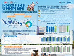 Indeks Bisnis UMKM BRI Sebut UMKM Tumbuh Positif di Q3-Optimis di Q4