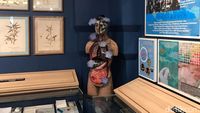 Mengintip Isi Museum Antinarkoba BNN: Ada Sejarah hingga Bahaya Narkoba
