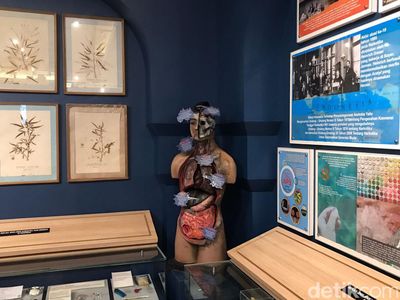 Mengintip Isi Museum Antinarkoba BNN: Ada Sejarah hingga Bahaya Narkoba