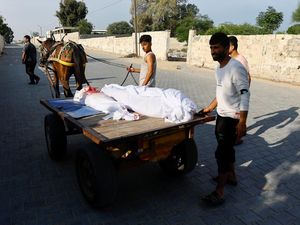 WHO Serukan Perdamaian Atas Konflik Israel-Hamas di Palestina