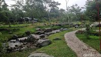 Ledok Sambi, Healing di Tepi Aliran Sungai di Jogja