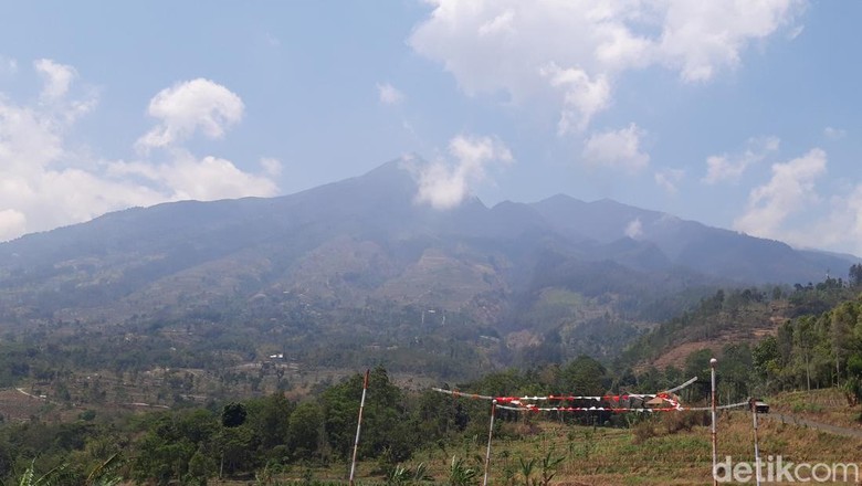 Rehabilitasi Gunung Merbabu Usai Kebakaran, Ini Jenis Pohon yang Bakal Ditanam