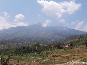 1.176 Hektare Lahan di Semarang-Boyolali Terdampak Kebakaran Gunung Merbabu 1.176 Hektare Lahan di Semarang-Boyolali Terdampak Kebakaran Gunung Merbabu