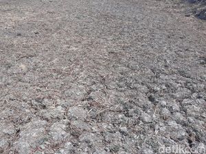 Kepala BMKG: Water Hotspot Indonesia Tidak Separah Negara Lain, Tapi..