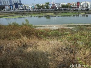 Nasib Sungai Cheonggyecheon Bekasi Kini Tak Terawat Nasib Sungai Cheonggyecheon Bekasi Kini Tak Terawat