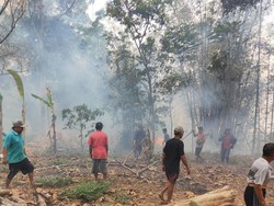 5 Hektare Lahan di Musuk Boyolali Terbakar