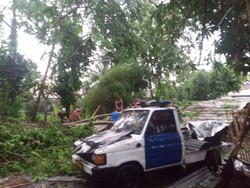 Hujan Disertai Angin Kencang di Bogor, Puluhan Rumah Rusak-Atap GOR Ambruk