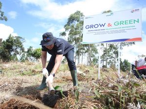 Jaga Kelestarian Danau Toba, BRI Tanam 2.500 Bibit Pohon di Samosir