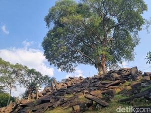 Gunung Padang Dibantah Ilmuwan Barat, Arkeolog: Mereka Tak Bisa Membayangkan Gunung Padang Dibantah Ilmuwan Barat, Arkeolog: Mereka Tak Bisa Membayangkan