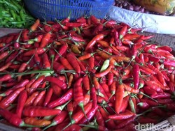 Harga Cabai Rawit di Lumajang Naik 100 Persen Lebih