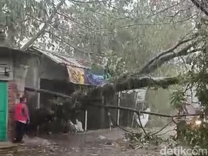 Waspada Potensi Cuaca Ekstrem di Bogor, Kenali Tanda-tandanya