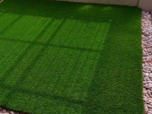 Ini 5 Jenis Rumput yang Cocok buat Taman di Rumah