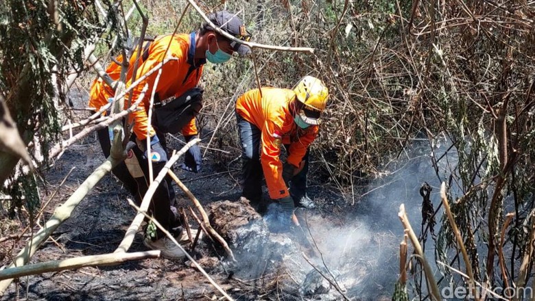 Peringatan Dini BMKG: Waspada Kebakaran Hutan 9 Kabupaten di NTB