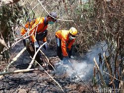 Peringatan Dini BMKG: Waspada Kebakaran Hutan 9 Kabupaten di NTB