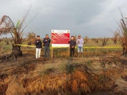 Gakkum KLHK Segel Lahan Terbakar di Kabupaten Banjar Kalsel