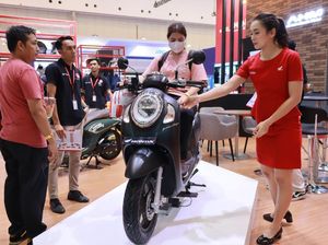 Hampir Semua Mobil Kena PPN 12%, Motor Gimana? Hampir Semua Mobil Kena PPN 12%, Motor Gimana?