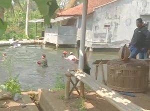 Kocar-kacir Digerebek Penjudi Sabung Ayam di Tasik Nyemplung ke Kolam